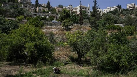 In the West Bank, UNESCO site Battir could face a water shortage from a planned Israeli settlement